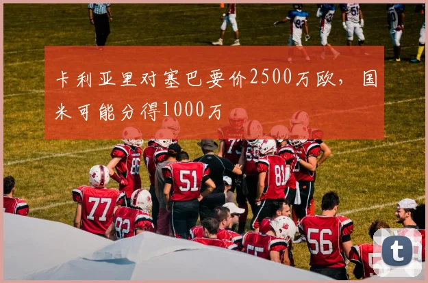 卡利亚里对塞巴要价2500万欧，国米可能分得1000万